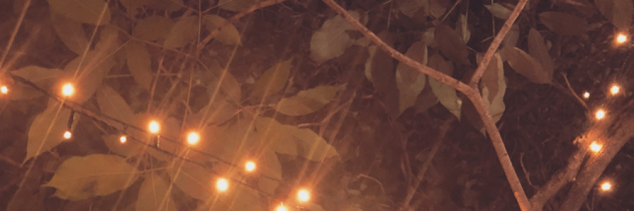 Cover image for post the cost, by subwaypoet