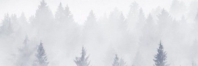 Cover image for post metaphors, by Karlacaldera