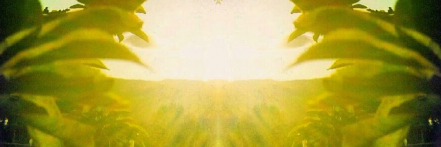 Cover image for post center screaming, by Tuskntale