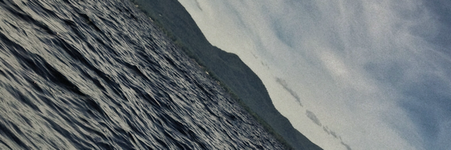 Cover image for post fleeting., by braydenbosch