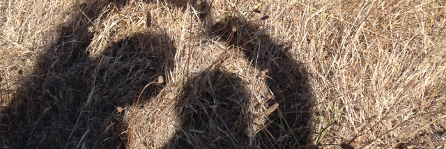 Cover image for post more like what keeps me alive, by SherlockAt221B