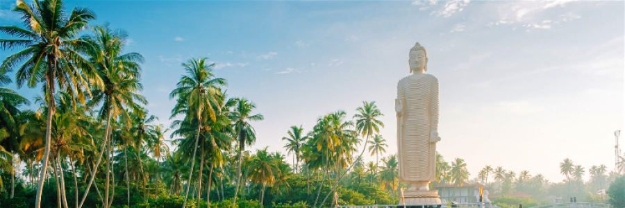 Cover image for post Where I come from,, by FireLance