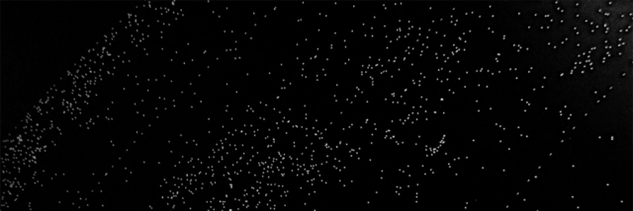 Cover image for post The Astronomer’s Curfew, by nathanbtoben