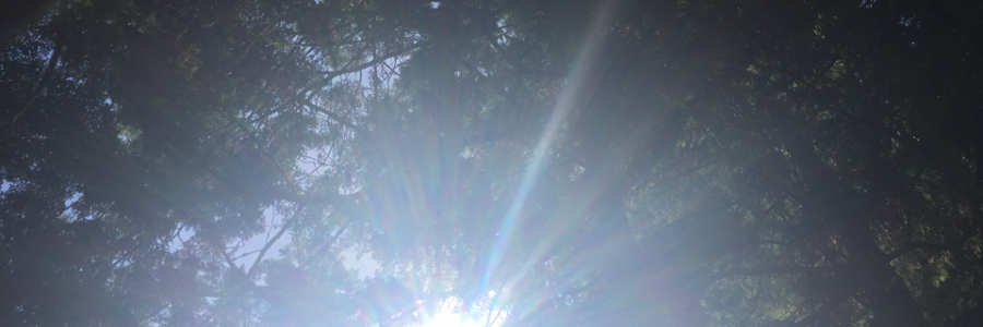 Cover image for post I was Blind, by Bearwithapen