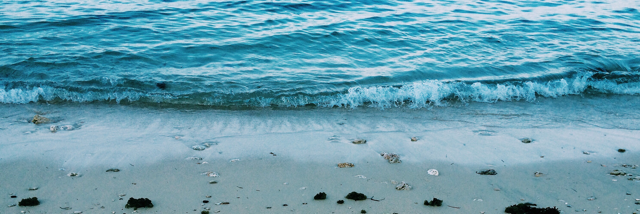 Cover image for post Ludicrous, by DTrinity