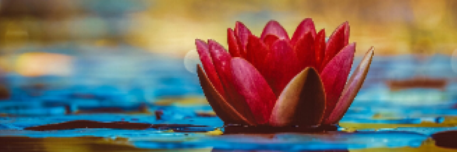 Cover image for post (Im)perfect Humanity, by 2Bamboopanda