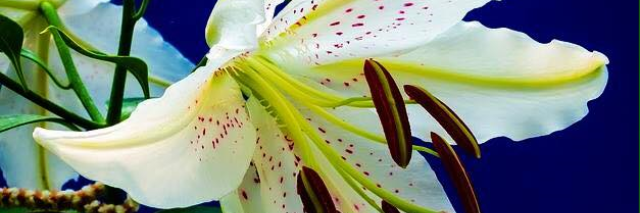 Cover image for post Take Away the Night, by Alpha