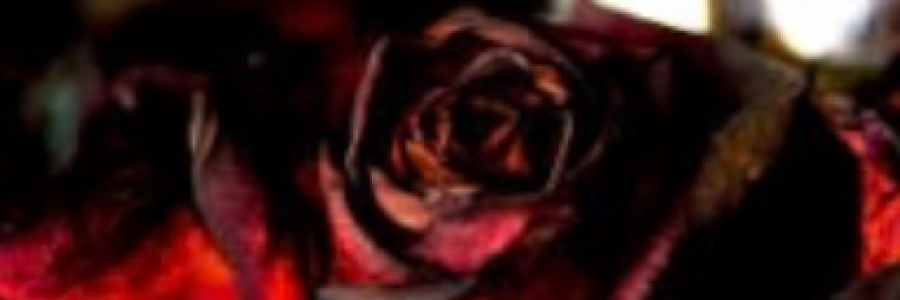 Cover image for post Immaculate Scarlet, by azria_cole