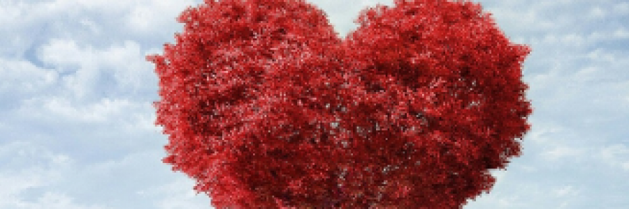 Cover image for post Equation for Love, by 2Bamboopanda