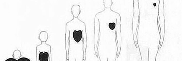 Cover image for post Love and decay, by Wildflower