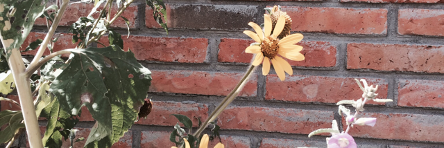 Cover image for post This is embarrassing but..., by Karlacaldera