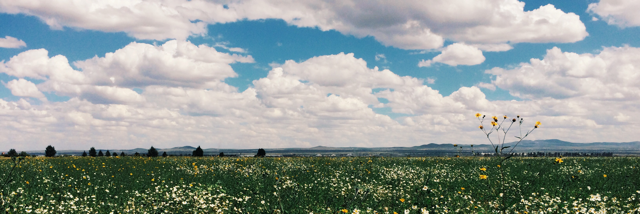 Cover image for post Untitled, by Karlacaldera