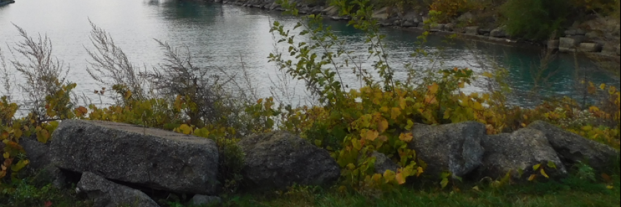 Cover image for post I Met Him At The River..., by LexiCon