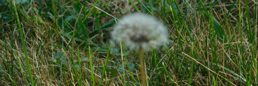 Cover image for post Mixed Emotions, by LexiCon