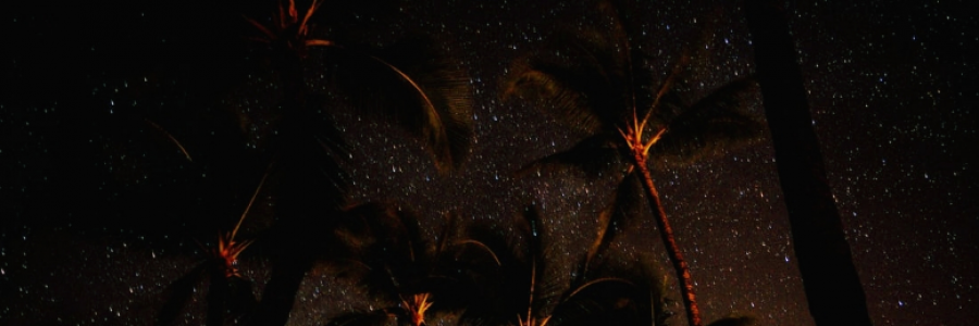 Cover image for post Untitled, by CarpeNoctem