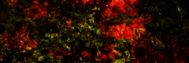 Cover image for post Outcast Utterance, by quantumalex