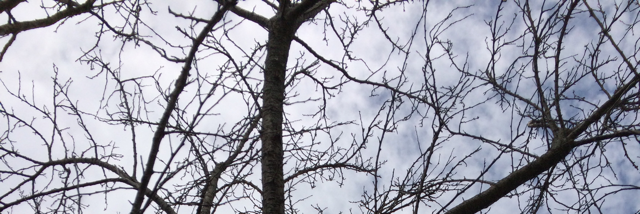 Cover image for post Untitled, by paper_mermaid