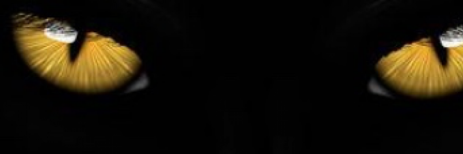 Cover image for post VACUUM, by Mnezz