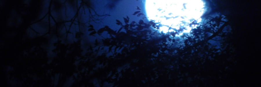 Cover image for post Too Easy, by LexiCon