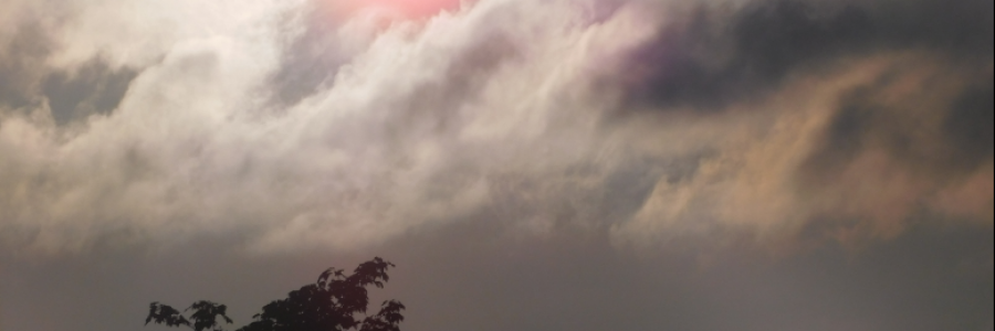 Cover image for post Sensing Evil, by LexiCon