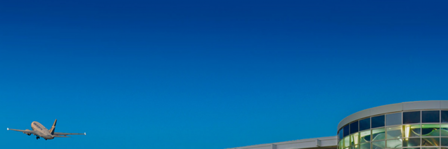 Cover image for post YLW, by KaneAlexander