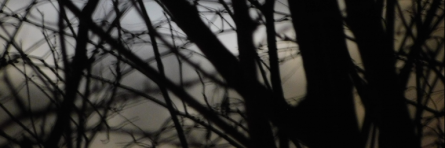 Cover image for post A Letter to Death,, by LexiCon