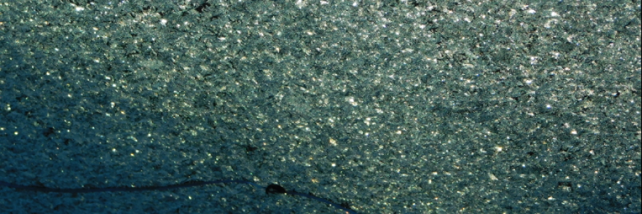 Cover image for post Baby Bear [ʕ◉ᴥ◉ʔ], by LexiCon