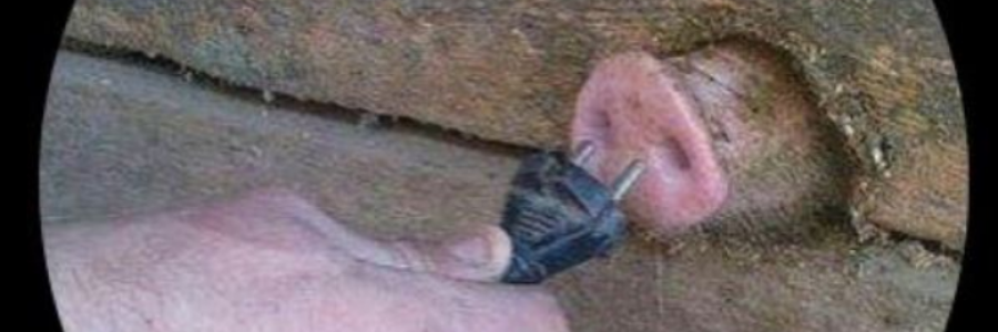 Cover image for post last words, by the_yeasty_boys