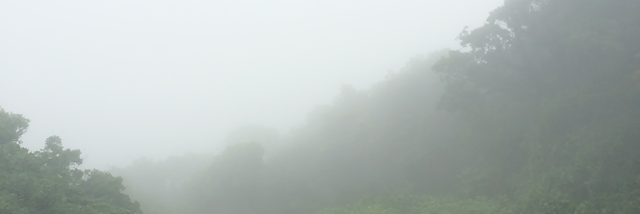 Cover image for post Havoc Within, by Vincentdcarl