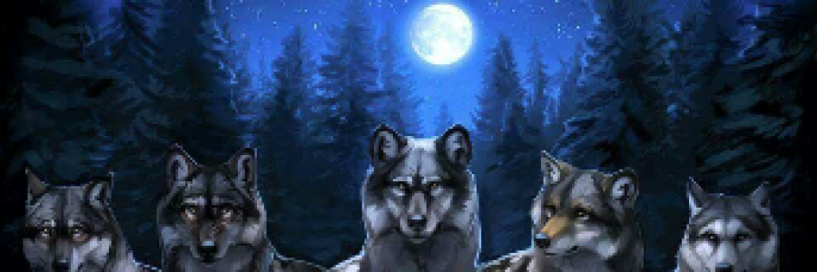 Cover image for post Aeriy., by Mnezz