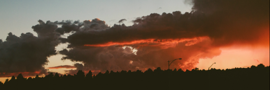 Cover image for post admirable, by Breanna