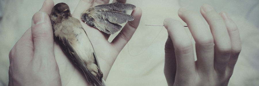 Cover image for post Untitled, by CarpeNoctem