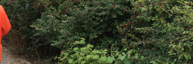 Cover image for post 3, by paper_mermaid