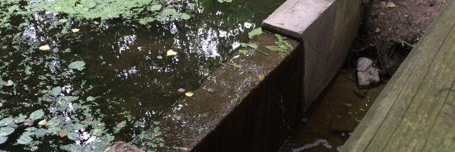 Cover image for post 4, by paper_mermaid