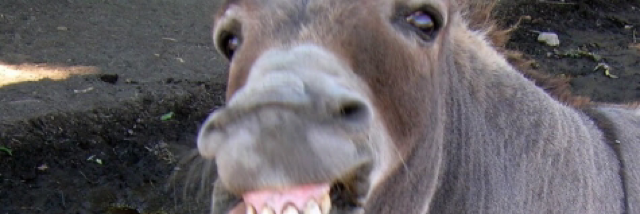 Cover image for post Dennis "Denny" Tuttleman, by Anitarosner