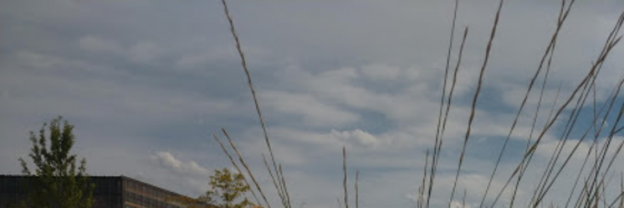 Cover image for post when words seem inadequate., by Suncent