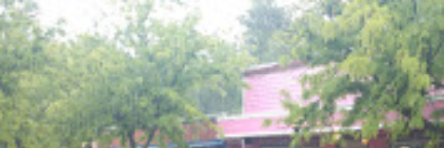 Cover image for post Guacamole, by Suncent