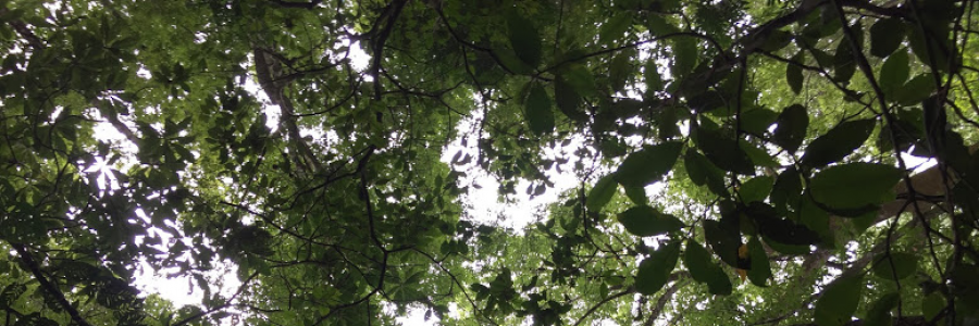 Cover image for post happy, by Suncent