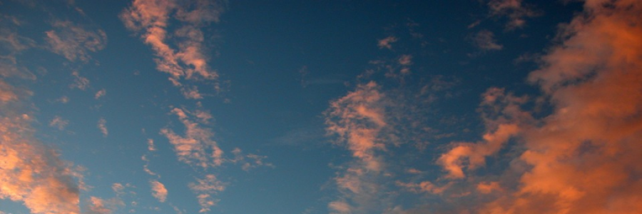 Cover image for post Dancing, by CoconutTurtles