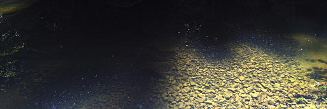 Cover image for post A Good Read, by jdgedgar