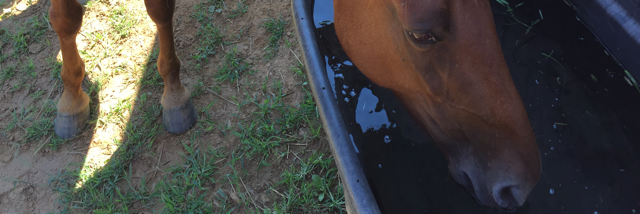 Cover image for post Fred Phelps 2, by pugsmith