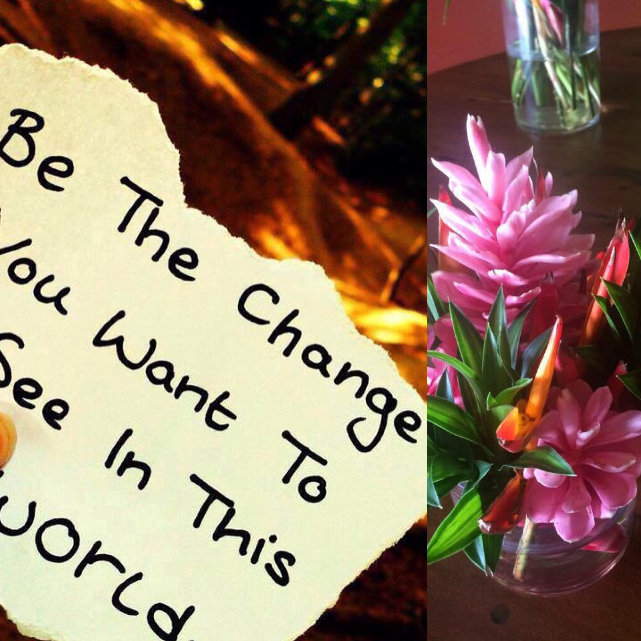 Cover image for post Life would be teaching, by Wcharles