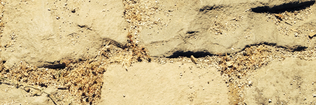 Cover image for post Maybe I Haven't Been There,But If Empathy Stings Here I Am, by Beth