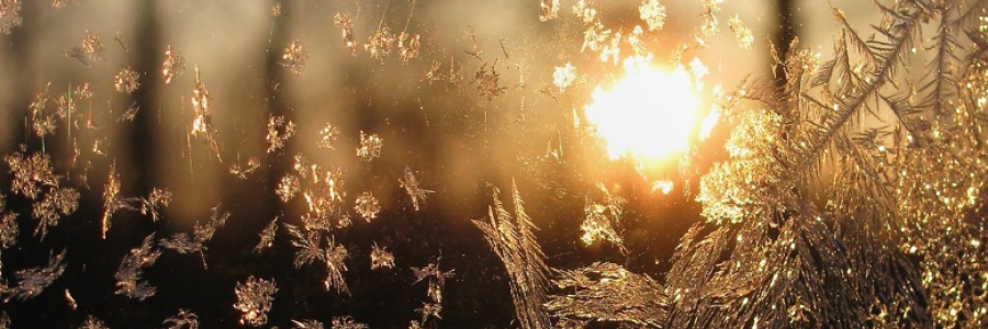 Cover image for post The Pointless and the Promised, by CoconutTurtles