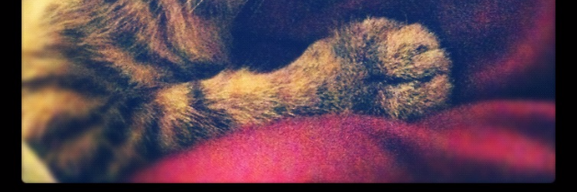 Cover image for post War, by EBJohnson