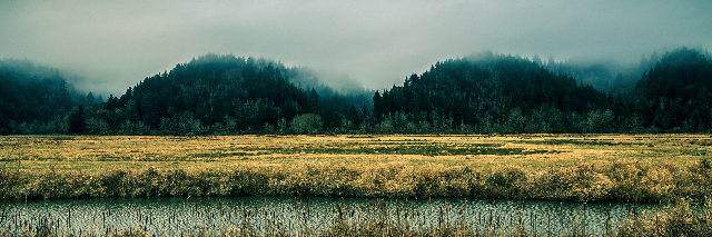 Cover image for post Subtlety, by EBJohnson