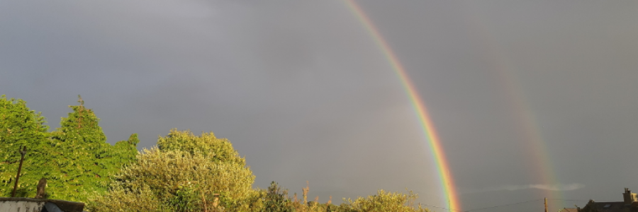 Cover image for post And What Do You Desire?, by GaryEnglish