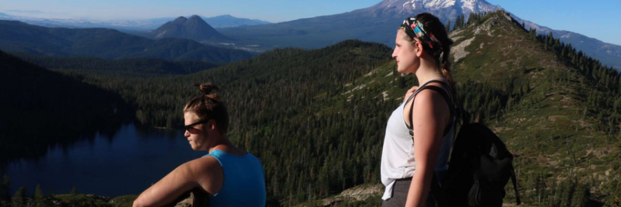 Cover image for post If only, by Bearwithapen