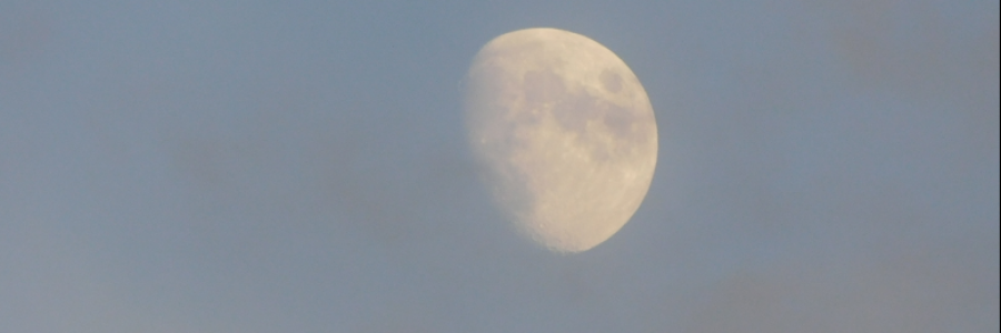 Cover image for post Wonder, by LexiCon