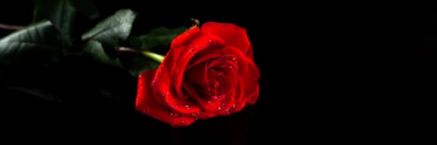 Cover image for post What will He choose??, by StrangersToSane